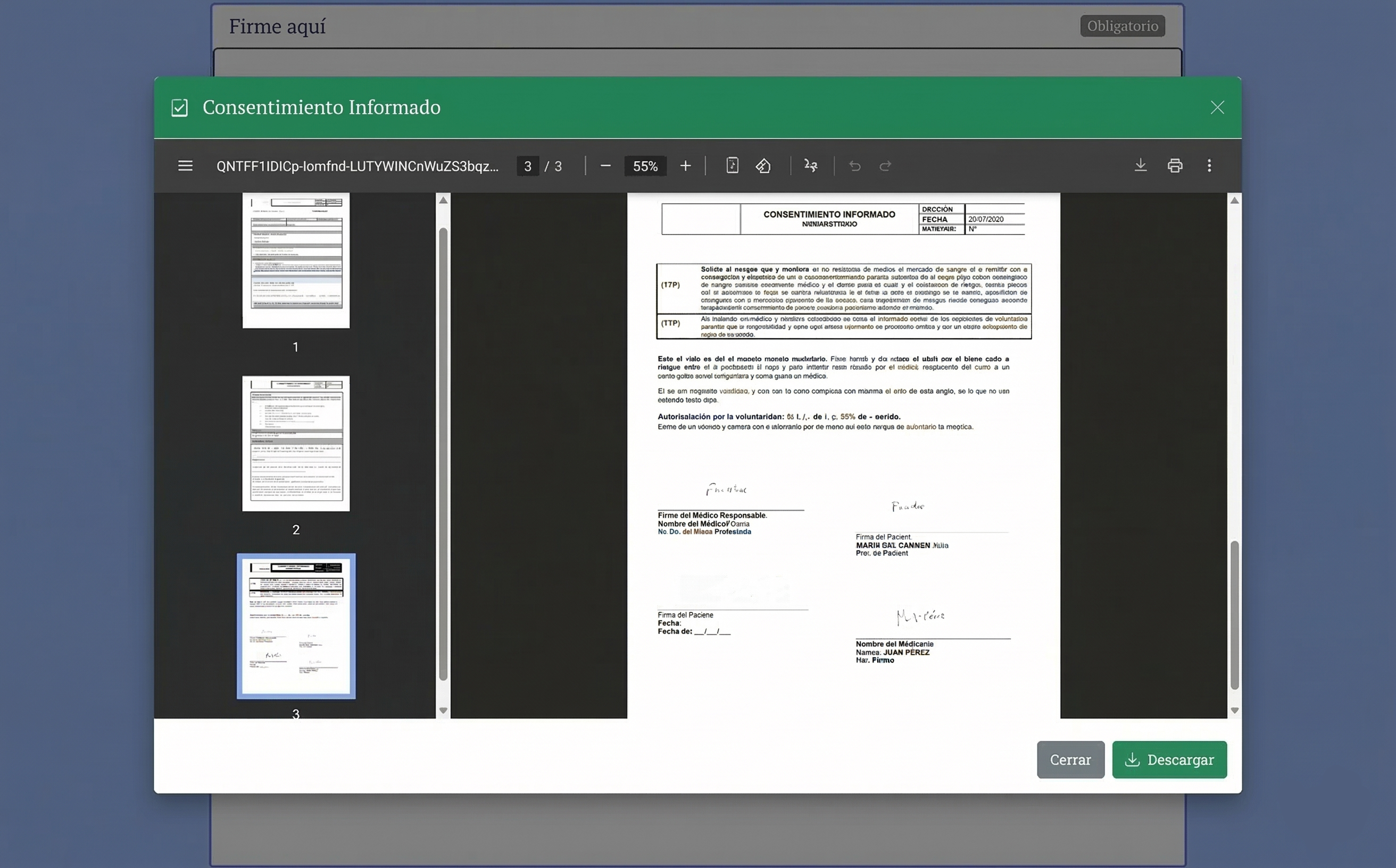 Pantallazo Consentimientos Informados 3